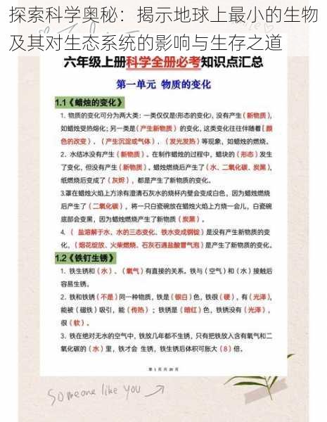 探索科学奥秘:揭示地球上最小的生物及其对生态系统的影响与生存之道