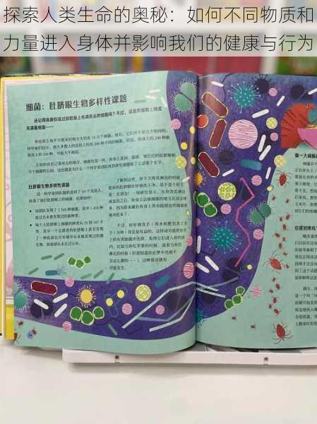 探索人类生命的奥秘:如何不同物质和力量进入身体并影响我们的健康与行为