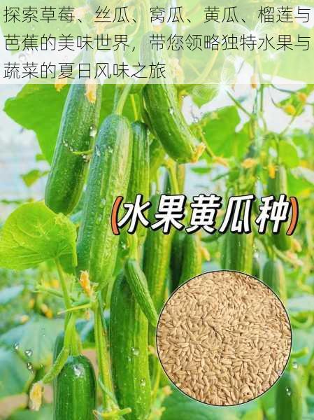 探索草莓、丝瓜、窝瓜、黄瓜、榴莲与芭蕉的美味世界，带您领略独特水果与蔬菜的夏日风味之旅