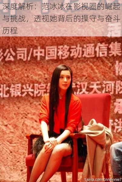 深度解析:范冰冰在影视圈的崛起与挑战,透视她背后的操守与奋斗历程