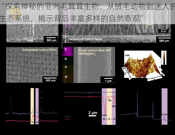 “探索神秘的亚洲毛茸茸生物:从绒毛动物到迷人的生态系统,揭示背后丰富多样的自然奇观”