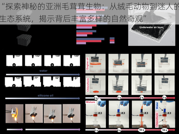 “探索神秘的亚洲毛茸茸生物：从绒毛动物到迷人的生态系统，揭示背后丰富多样的自然奇观”