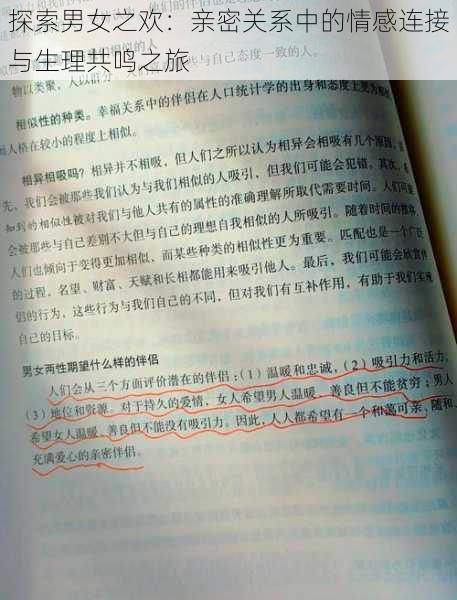探索男女之欢:亲密关系中的情感连接与生理共鸣之旅