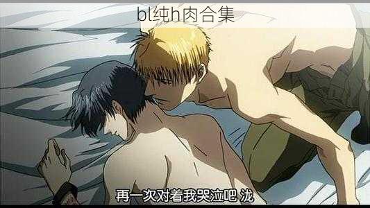 bl纯h肉合集