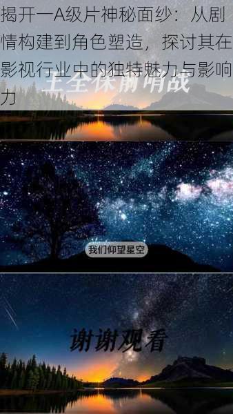 揭开一A级片神秘面纱:从剧情构建到角色塑造,探讨其在影视行业中的独特魅力与影响力