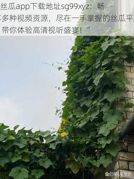 “丝瓜app下载地址sg99xyz：畅享多种视频资源，尽在一手掌握的丝瓜平台，带你体验高清视听盛宴！”
