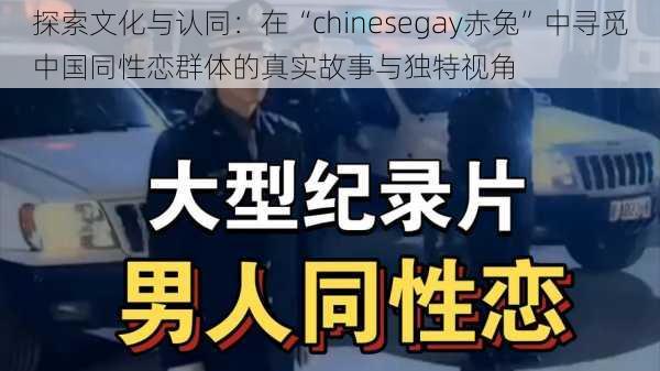 探索文化与认同：在“chinesegay赤兔”中寻觅中国同性恋群体的真实故事与独特视角