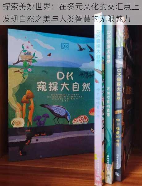 探索美妙世界：在多元文化的交汇点上发现自然之美与人类智慧的无限魅力