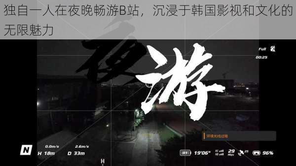 独自一人在夜晚畅游B站,沉浸于韩国影视和文化的无限魅力
