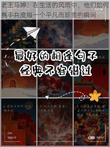 老王马婷:在生活的风雨中,他们如何携手共度每一个平凡而珍贵的瞬间