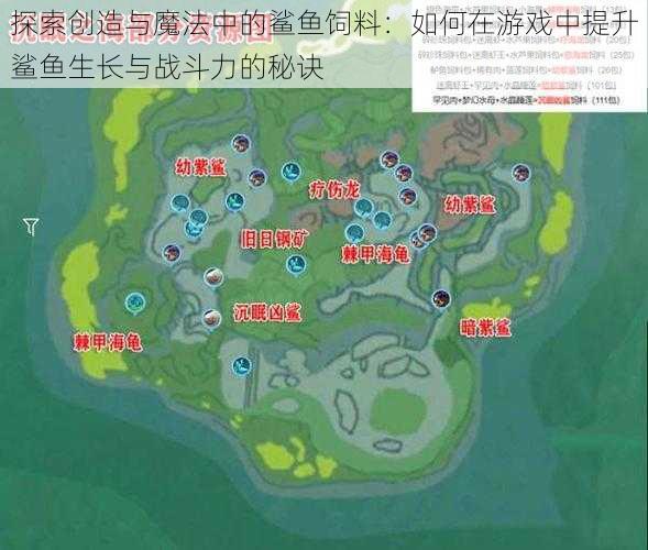 探索创造与魔法中的鲨鱼饲料:如何在游戏中提升鲨鱼生长与战斗力的秘诀