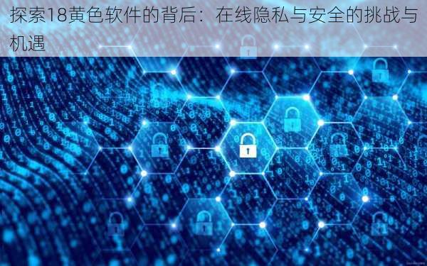 探索18黄色软件的背后：在线隐私与安全的挑战与机遇