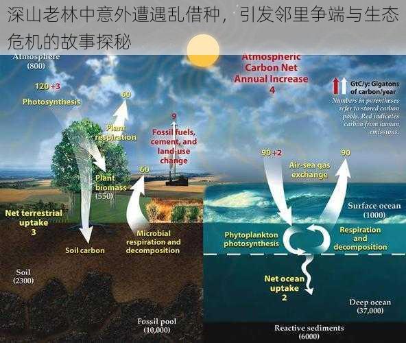 深山老林中意外遭遇乱借种,引发邻里争端与生态危机的故事探秘