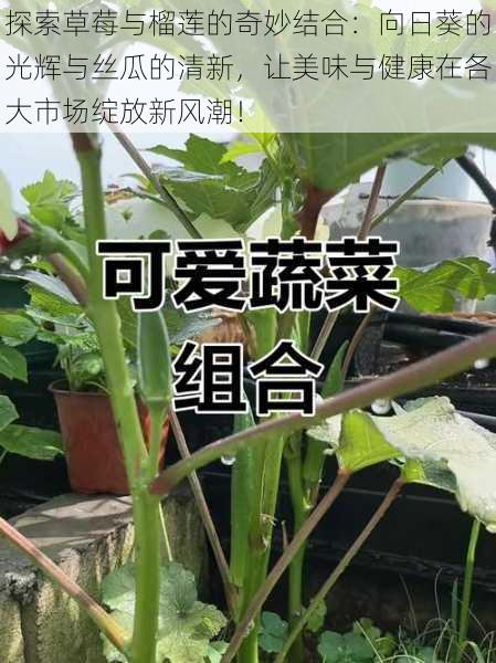 探索草莓与榴莲的奇妙结合：向日葵的光辉与丝瓜的清新，让美味与健康在各大市场绽放新风潮！