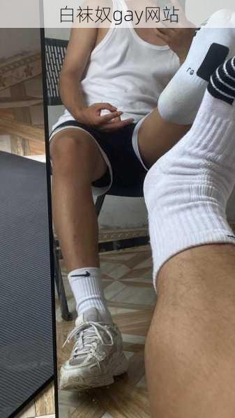 白袜奴gay网站