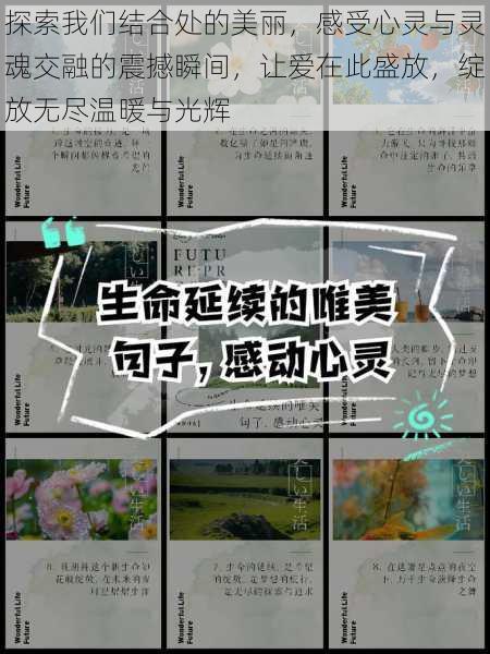 探索我们结合处的美丽,感受心灵与灵魂交融的震撼瞬间,让爱在此盛放,绽放无尽温暖与光辉
