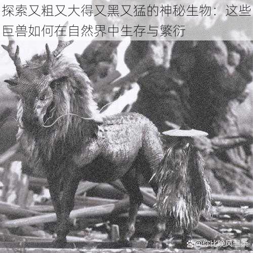 探索又粗又大得又黑又猛的神秘生物:这些巨兽如何在自然界中生存与繁衍