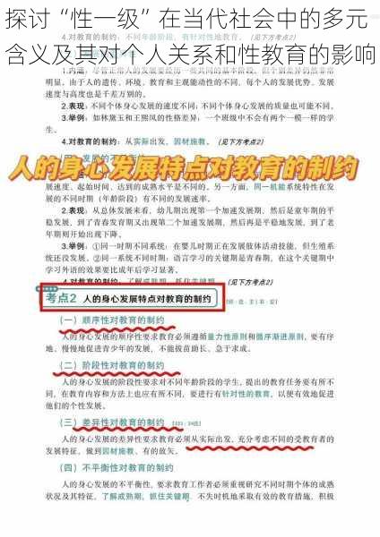 探讨“性一级”在当代社会中的多元含义及其对个人关系和性教育的影响