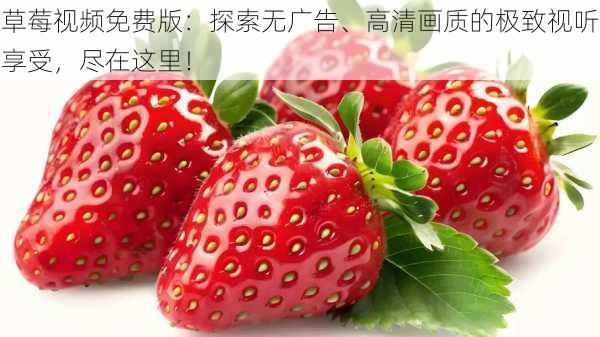 草莓视频免费版：探索无广告、高清画质的极致视听享受，尽在这里！