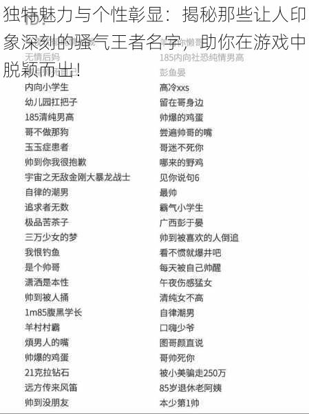 独特魅力与个性彰显:揭秘那些让人印象深刻的骚气王者名字,助你在游戏中脱颖而出!