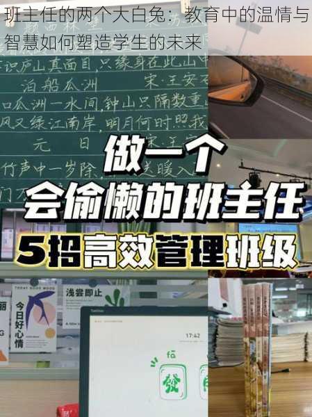 班主任的两个大白兔:教育中的温情与智慧如何塑造学生的未来