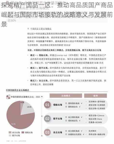 探索精产国品一区:推动高品质国产商品崛起与国际市场接轨的战略意义与发展前景