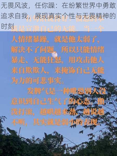 无畏风波,任你躁:在纷繁世界中勇敢追求自我,展现真实个性与无畏精神的时刻