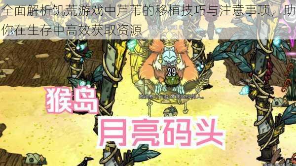 全面解析饥荒游戏中芦苇的移植技巧与注意事项,助你在生存中高效获取资源