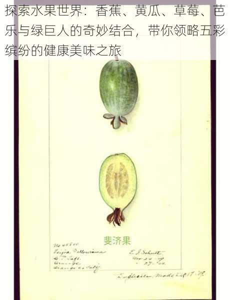 探索水果世界:香蕉、黄瓜、草莓、芭乐与绿巨人的奇妙结合,带你领略五彩缤纷的健康美味之旅