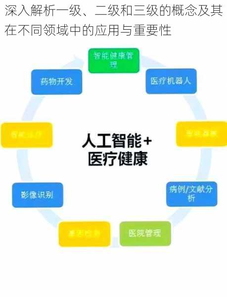 深入解析一级、二级和三级的概念及其在不同领域中的应用与重要性