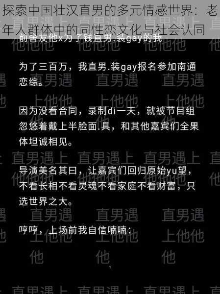 探索中国壮汉直男的多元情感世界:老年人群体中的同性恋文化与社会认同
