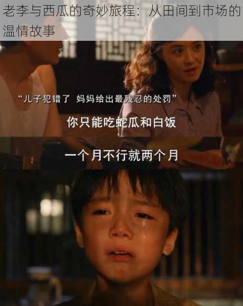 老李与西瓜的奇妙旅程:从田间到市场的温情故事