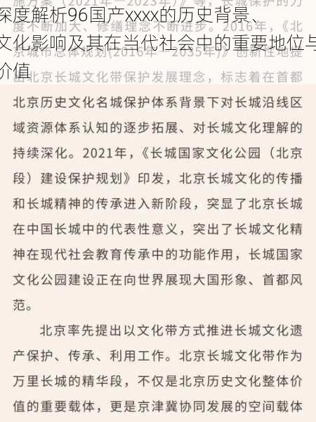 深度解析96国产xxxx的历史背景、文化影响及其在当代社会中的重要地位与价值