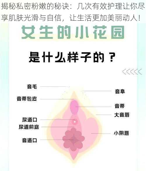揭秘私密粉嫩的秘诀：几次有效护理让你尽享肌肤光滑与自信，让生活更加美丽动人！