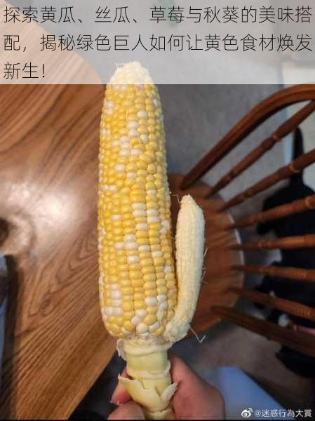 探索黄瓜、丝瓜、草莓与秋葵的美味搭配，揭秘绿色巨人如何让黄色食材焕发新生！
