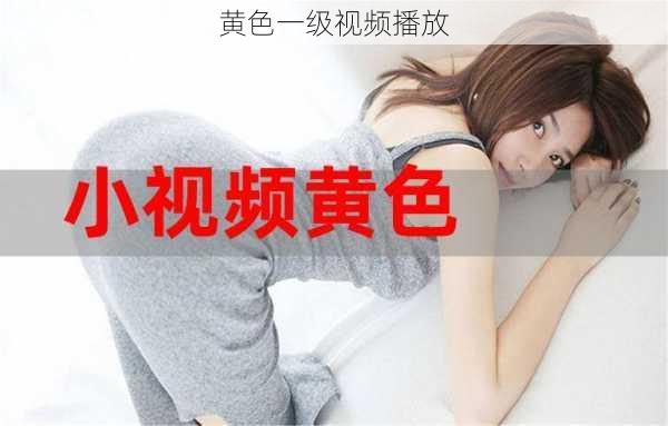 黄色一级视频播放