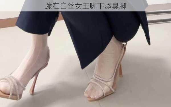 跪在白丝女王脚下添臭脚