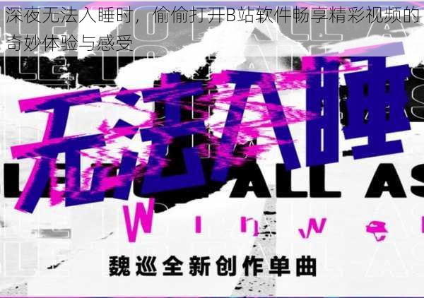深夜无法入睡时,偷偷打开B站软件畅享精彩视频的奇妙体验与感受