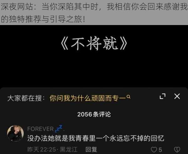 深夜网站:当你深陷其中时,我相信你会回来感谢我的独特推荐与引导之旅!