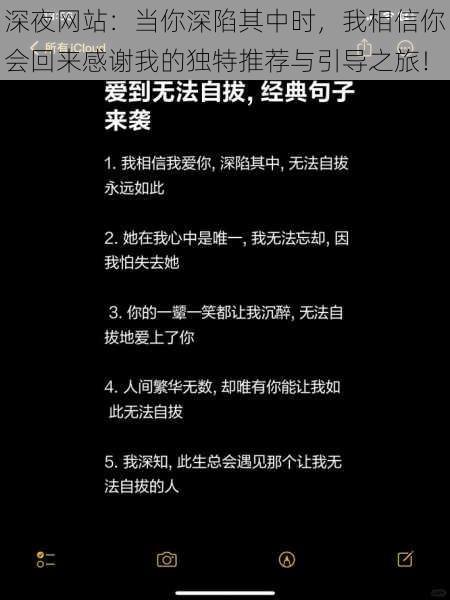 深夜网站:当你深陷其中时,我相信你会回来感谢我的独特推荐与引导之旅!