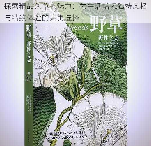 探索精品久草的魅力:为生活增添独特风格与精致体验的完美选择