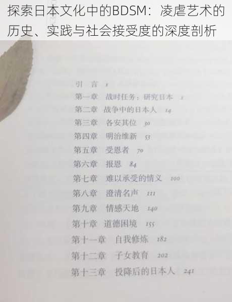 探索日本文化中的BDSM:凌虐艺术的历史、实践与社会接受度的深度剖析