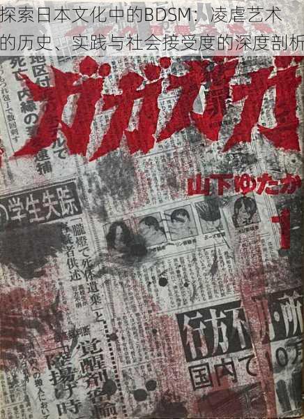 探索日本文化中的BDSM:凌虐艺术的历史、实践与社会接受度的深度剖析