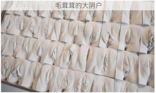 毛茸茸的大阴户