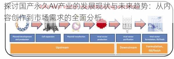 探讨国产永久AV产业的发展现状与未来趋势:从内容创作到市场需求的全面分析