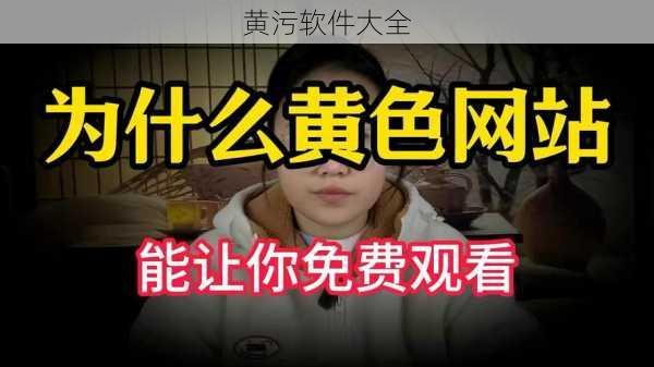 黄污软件大全