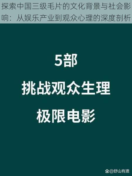 探索中国三级毛片的文化背景与社会影响:从娱乐产业到观众心理的深度剖析