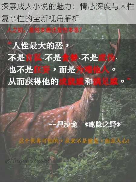 探索成人小说的魅力:情感深度与人性复杂性的全新视角解析