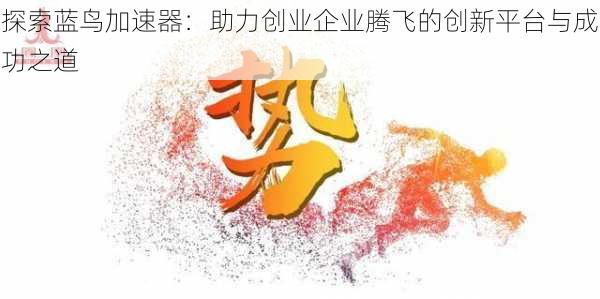 探索蓝鸟加速器：助力创业企业腾飞的创新平台与成功之道
