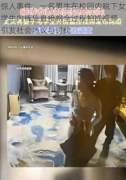 惊人事件:一名男生在校园内脱下女学生内裤后直接将全过程拍成视频,引发社会热议与讨伐
